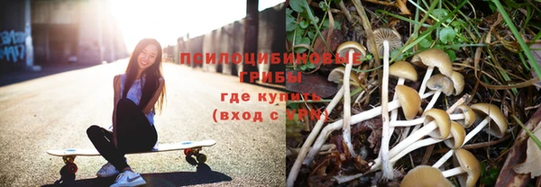 apvp Заводоуковск