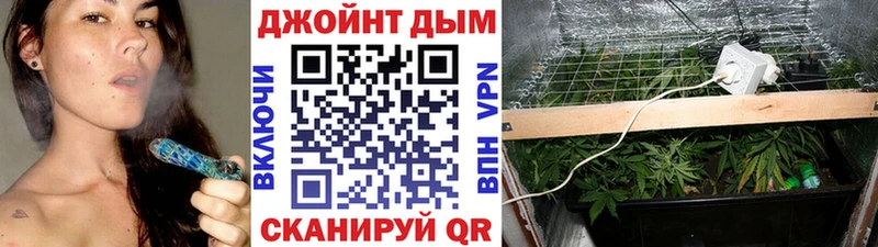 Канабис Bruce Banner Чадан